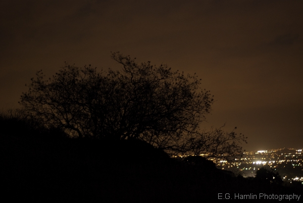 dsc4234 dsc4234